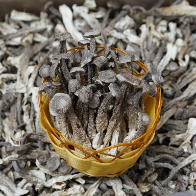 500g鹿茸菌散装批发 干货厂家直供鹿茸菇 食用菌酒店食材批发天然图2