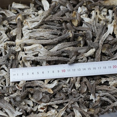 500g鹿茸菌散装批发 干货厂家直供鹿茸菇 食用菌酒店食材批发天然图4