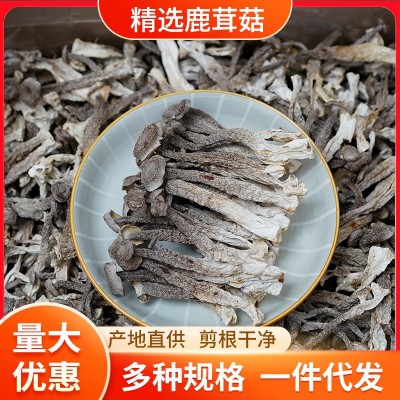 500g鹿茸菌散装批发 干货厂家直供鹿茸菇 食用菌酒店食材批发天然