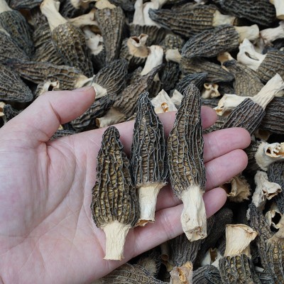 250g羊肚菌干货新鲜半野生菌头茬林下生长云南煲汤肉厚批发菌菇图2