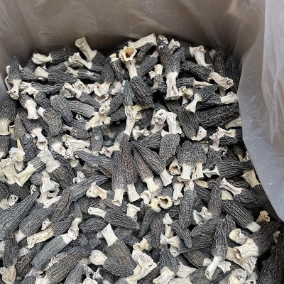 250g羊肚菌干货新鲜半野生菌头茬林下生长云南煲汤肉厚批发菌菇图3