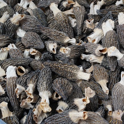 250g羊肚菌干货新鲜半野生菌头茬林下生长云南煲汤肉厚批发菌菇图4