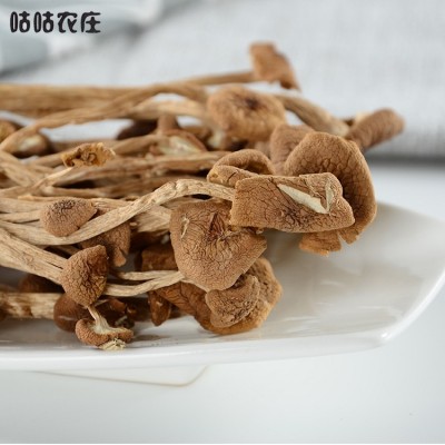 250g古田茶树菇开伞产地直供干货不开伞茶薪菇散装批发一件代发图3