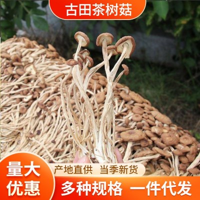 古田农家不开伞茶树菇干货500g无硫小冰菇包邮茶薪菇新货农家自产