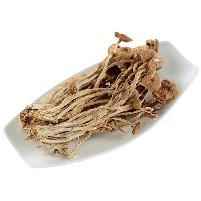 古田农家不开伞茶树菇干货500g无硫小冰菇包邮茶薪菇新货农家自产图5