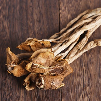 【无熏硫茶树菇净重】开伞茶树菇干货特产 开伞茶树菇食用菌批发图2