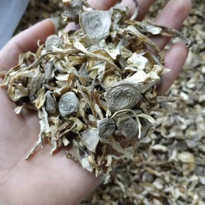 【净重】鹿茸菇干货无干燥剂鹿茸菇碎脆脆菇包子饺子馅料鹿茸菌碎图2
