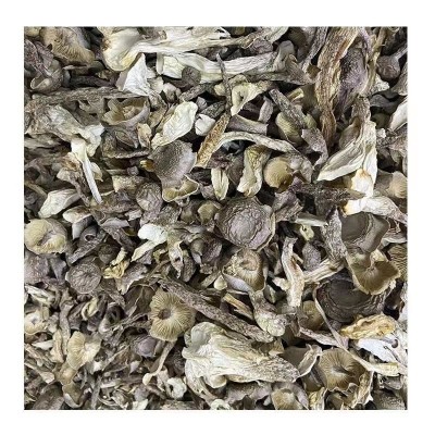 【净重】鹿茸菇干货无干燥剂鹿茸菇碎脆脆菇包子饺子馅料鹿茸菌碎