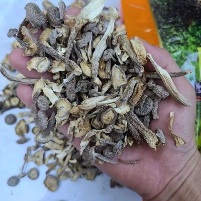 【净重】鹿茸菇干货无干燥剂鹿茸菇碎脆脆菇包子饺子馅料鹿茸菌碎图4