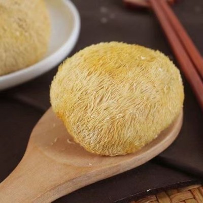 猴头菇干货500g 新货福建古田特产级蘑菇食用菌深山猴头菌菇批发图2