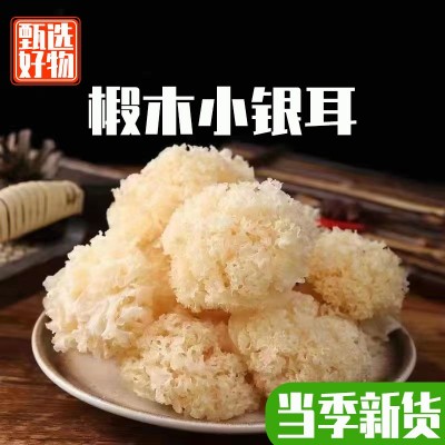 新客直降椴木 小银耳古田白木耳干货孕妇糯耳雪耳易出胶无熏批发