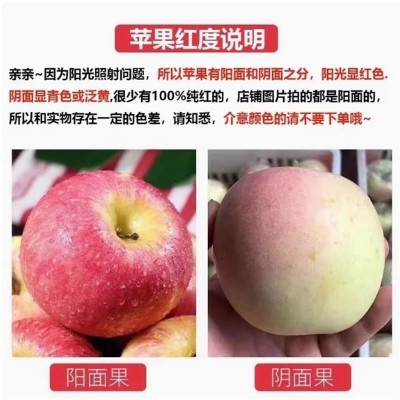陕西红富士苹果【膜袋】产地直发苹果整件包邮水果苹果一件代发图2