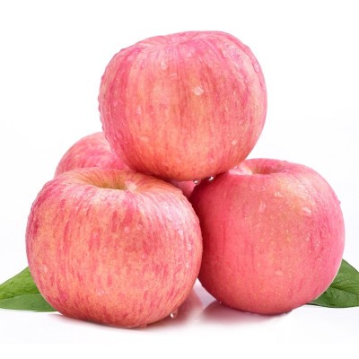 陕西红富士苹果【膜袋】产地直发苹果整件包邮水果苹果一件代发