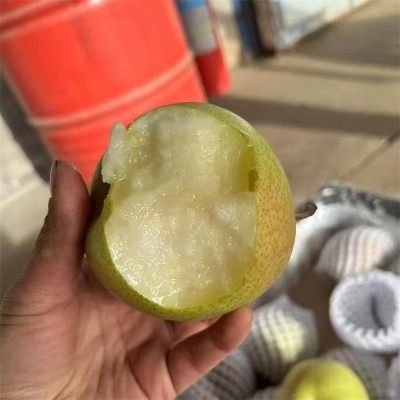 山西丹霞红梨新鲜水果梨子包邮当季水果丹霞红梨一件代发图3