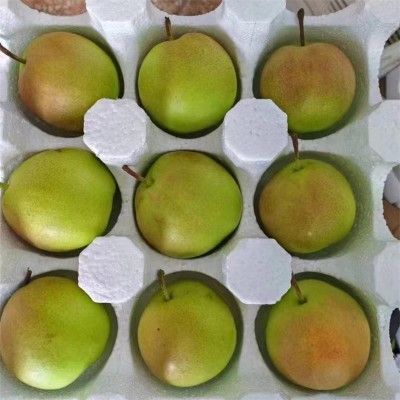 山西丹霞红梨新鲜水果梨子包邮当季水果丹霞红梨一件代发