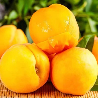 山东黄桃桃子新鲜水果早期桃子包邮当季黄桃一件代发图2