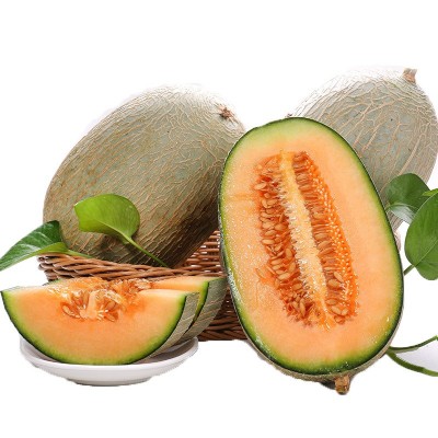 山东哈密瓜西州蜜瓜新鲜水果整件包邮生鲜蜜瓜一件代发图5