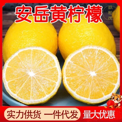 四川安岳黄柠檬5斤新鲜皮薄柃檬香水应当季现货批发青黄柠 檬随机图3