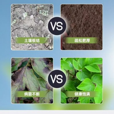 厂家直销豆粨有机肥蔬菜花卉绿植专用腐熟发酵有机盆栽菜园通用肥图3