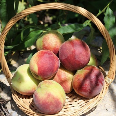 山东青州蜜桃 代发5斤新鲜脆甜硬桃孕妇水果应季青桃子非水蜜桃图3