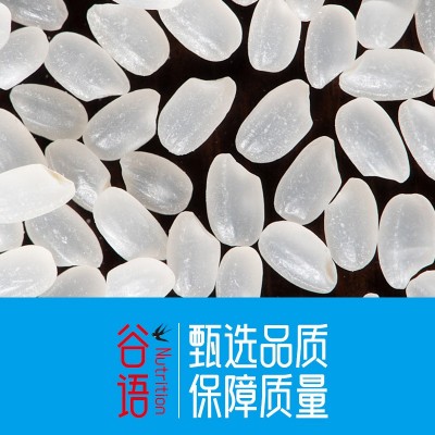 大米500克新米东北大米砖真空包装农家自种五谷杂粮厂家批发杂粮图3