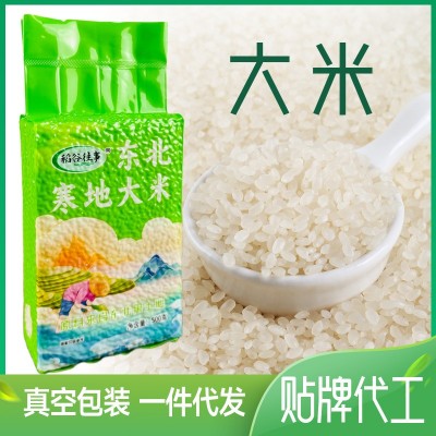 大米500克新米东北大米砖真空包装农家自种五谷杂粮厂家批发杂粮