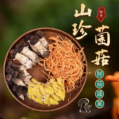 菌汤煲组合新鲜食用菌姬松茸黑皮鸡枞榆黄菇虫草花鸡油鲜菌汤包 2件