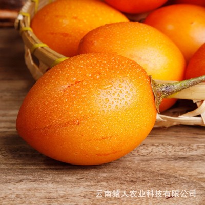 云南特产新鲜树番茄云南树番茄 自家种植 美味可口树番茄厂家批发 2件图3