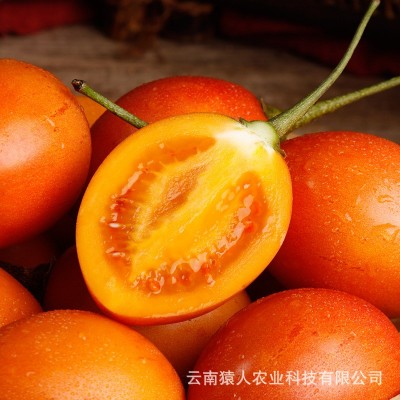 云南特产新鲜树番茄云南树番茄 自家种植 美味可口树番茄厂家批发 2件图4