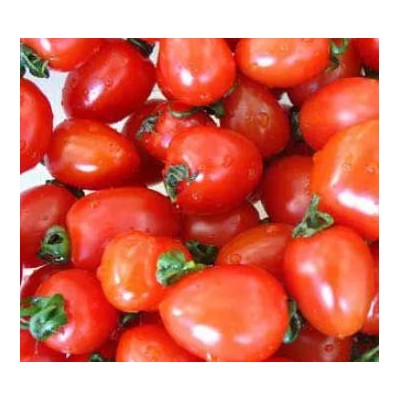 （电话联系）供应樱桃西红柿 圣女果 水果西红柿 10斤