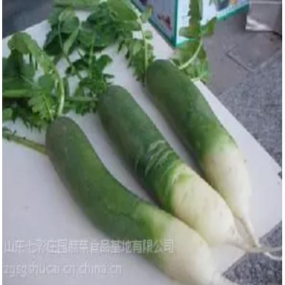 （电话联系）供应潍坊特产 潍县萝卜 国家地理标志产品 10斤图5