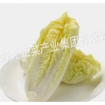 （电话联系）供应供应优质娃娃菜 精品 10斤图4