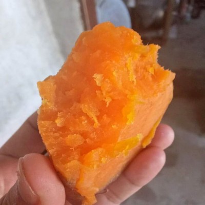 红薯新鲜农家种植 番薯烤地瓜沙地蜜薯红心小香薯软糯香甜无丝  10斤图3