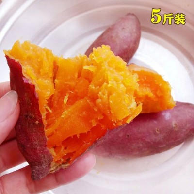 红薯新鲜农家种植 番薯烤地瓜沙地蜜薯红心小香薯软糯香甜无丝  10斤图4
