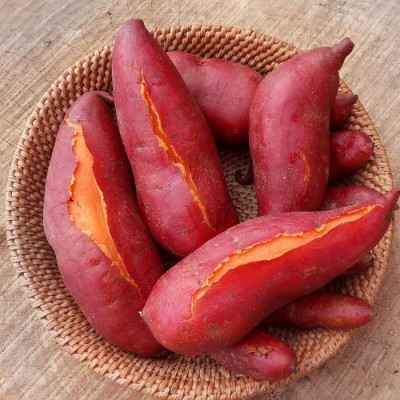 红薯新鲜农家种植 番薯烤地瓜沙地蜜薯红心小香薯软糯香甜无丝  10斤图5