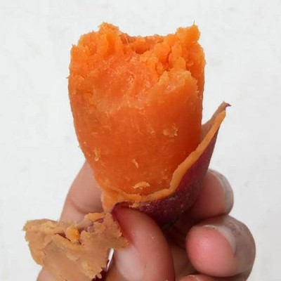 红薯新鲜农家种植 番薯烤地瓜沙地蜜薯红心小香薯软糯香甜无丝  10斤图2