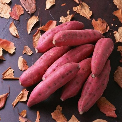 （电话可大量订货）呱之廊品牌 大叶红新鲜红薯 鲜美香甜 蒸煮烤制 个大美味 5斤图5