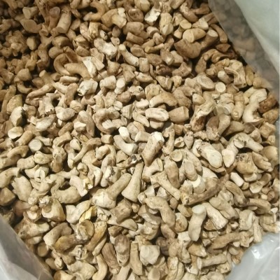 样品源头工厂精选双剪香菇脚香菇腿冬菇柄食品厂专用 1件图2