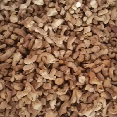 样品源头工厂精选双剪香菇脚香菇腿冬菇柄食品厂专用 1件图4