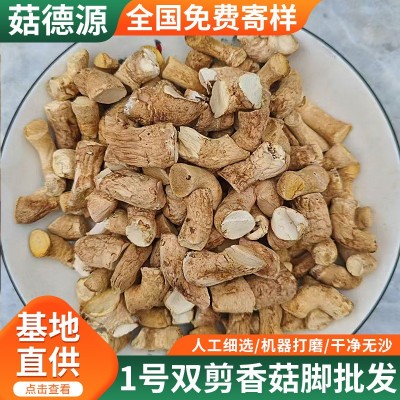 样品源头工厂精选双剪香菇脚香菇腿冬菇柄食品厂专用 1件