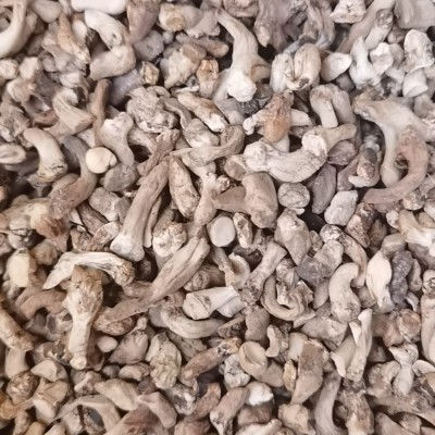 源头工厂定制1号优质双剪西峡香菇脚香菇腿25KG冬菇柄批发 50斤图4