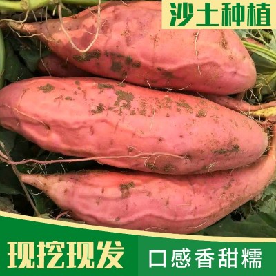 红薯新鲜农家自种番薯烤地瓜河北沙地烟薯25号红心蜜薯 5箱