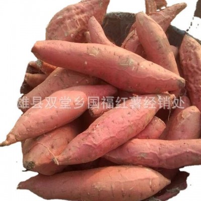 红薯新鲜农家自种番薯烤地瓜河北沙地烟薯25号红心蜜薯 5箱图5
