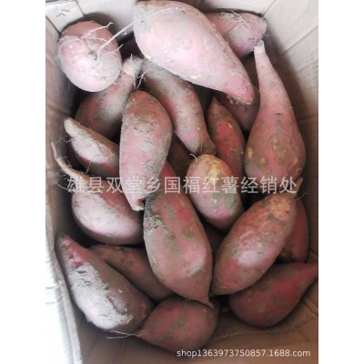 产地直发新鲜流油糖心蜜薯 沙地番薯河北红薯 烤地瓜烟薯25 5箱图5