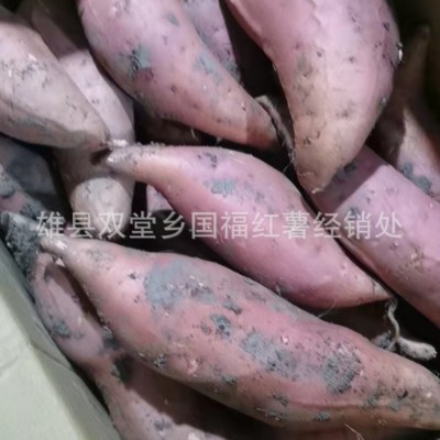 产地直发新鲜流油糖心蜜薯 沙地番薯河北红薯 烤地瓜烟薯25 5箱图2