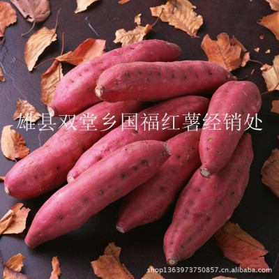 现挖沙土种植食用红心小红薯 食用软糯香甜拔丝红薯 10千克图4