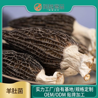 羊肚菌肉厚体级羊肚菌干货云南特产新鲜菌类香菇类煲汤食材500g 2袋