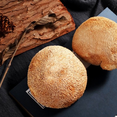 羊肚菌肉厚体级羊肚菌干货云南特产新鲜菌类香菇类煲汤食材500g 2袋图4