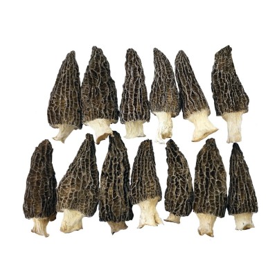 羊肚菌肉厚体级羊肚菌干货云南特产新鲜菌类香菇类煲汤食材500g 2袋图5