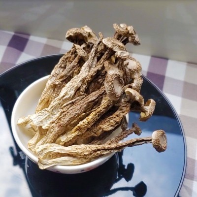 优质鹿茸菇干货500g一级鹿茸菌无硫新鲜煲汤散装批发 3斤图4